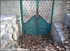 ميلاد رشيدی