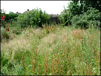 Before you say anything, this was before!!