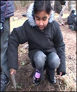 On allotments with Shades of Black