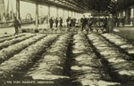 Aberdeen fish market
