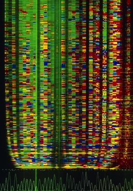 Thumbnail image for 003155110.jpg