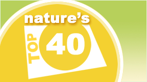 Nature's Top 40 logo