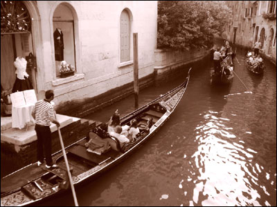 عکس از پریسا عرفانی 