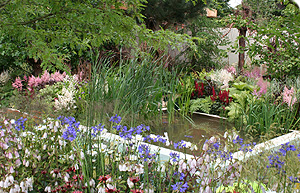 Chris Beardshaw's Growing For Schools garden