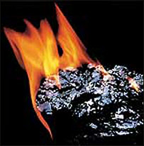 زغال گرفتگی