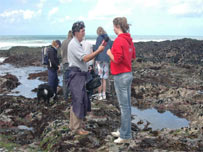 BBC Radio Cornwall's Michael Taylor on the coast
