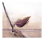 Painting by Sehnaz Hanslot