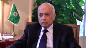 نبیل العربي