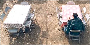 محمود نيک عهد