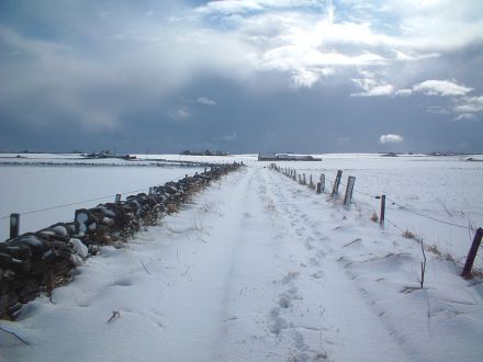 Coo, 4th March 2006 at 12:06pm.