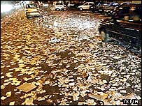 پوسترهای تبليغاتی نامزدهای انتخابات رياست جمهوری