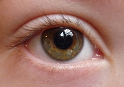 Close up of a child's eye