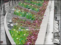 Part of the proposed feather design