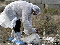 Nhân viên y tế Hy Lạp