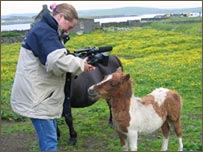 Roisin with a Shetland Pony