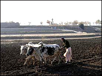 يو تن د يوې پرمهال