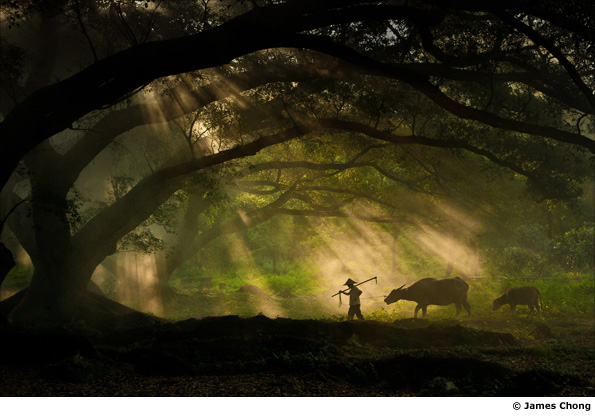 Going To Work by James Chong