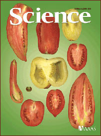 Arte de capa: Kelly Krause/Science; Foto: Esther van der Knaap