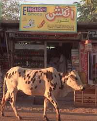 English shoes shop in Mirpur