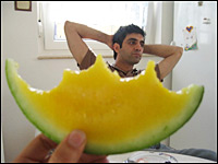 Yellow Watermelon