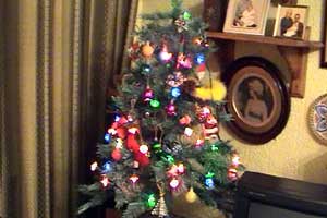 Robin tells us what Christmas means to him.