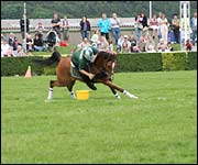 Rider placing a batton in a bucket