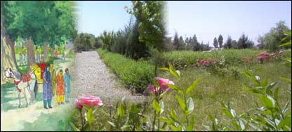 خاله گادیران اطفال را به تماشای باغ شيدای هرات برده است.