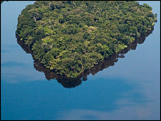 Vista aérea en el Congo (© Daniel Beltrá. Cortesía de The Prince’s Rainforests Project y Sony)