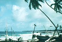Sri Lankan fishing boats