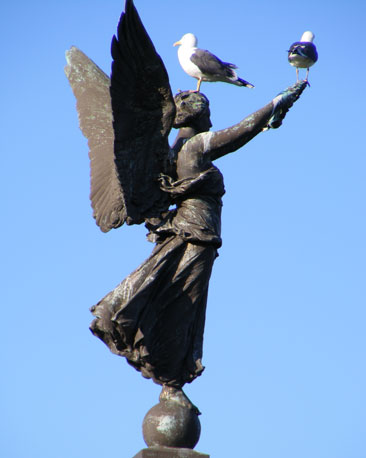 Clare Bird from Glasgow snapped these two seagulls having a rest in the city's Victoria Park.