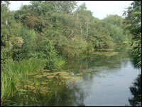The Loddon