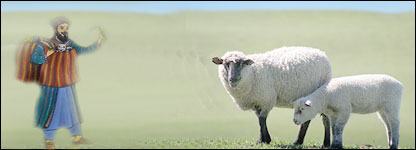 مشنگ، پسونه او پوکاڼۍ