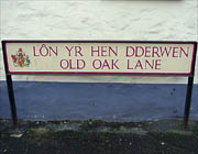 Y lôn lle safai'r hen dderwen