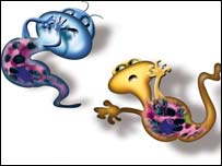 چيکی و ميکی