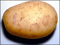 A potato