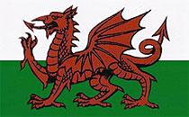 Financial Information for Wales