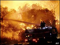 Incêndio em floresta no sul da França