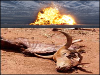 چاودنه او مړه غوا