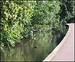 River