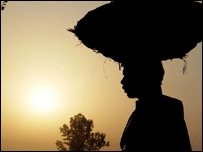 खेत में किसान