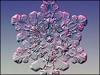 Cristal de neve (Foto: Kenneth Libbrecht/SnowCrystals.com)