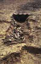 Photograph showing some bones and broken pottery found in a roundhouse drainage gully