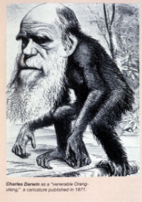 darwinasmonkeysmall.jpg