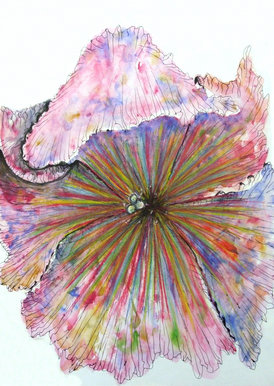 the explosion of life