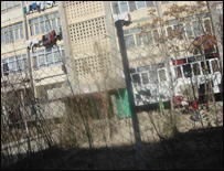 بلاکونه اوژمنۍ ستونزې