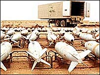 Kitle imha silahları