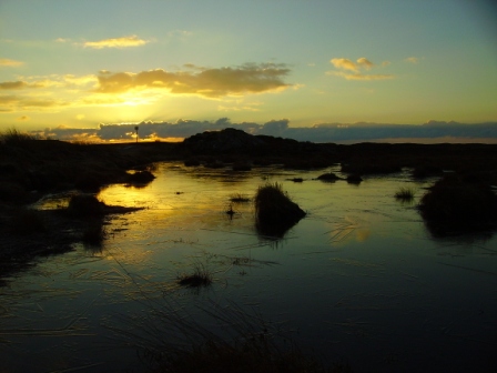 Frosty Morning near Arnish, Lewis