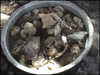 د قصابۍ ضايعات