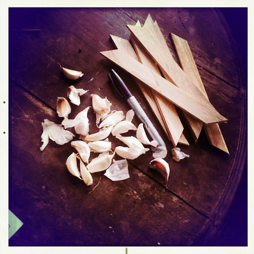 new labels and shallots