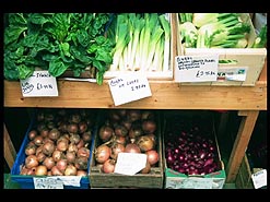 A felucca on the River Nile